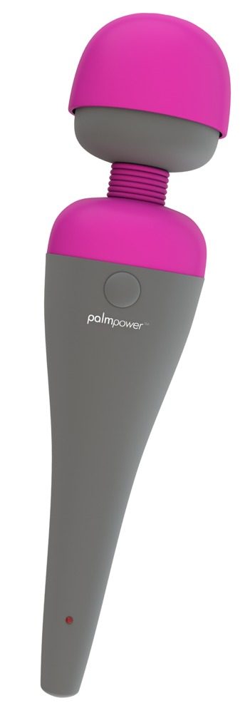 PalmPower Personal Massager